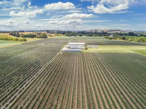 359 Dakins Road, Carterton