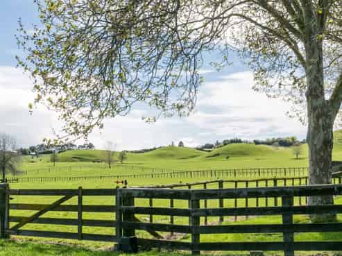 563 Tuki Tuki Road, Haumoana
