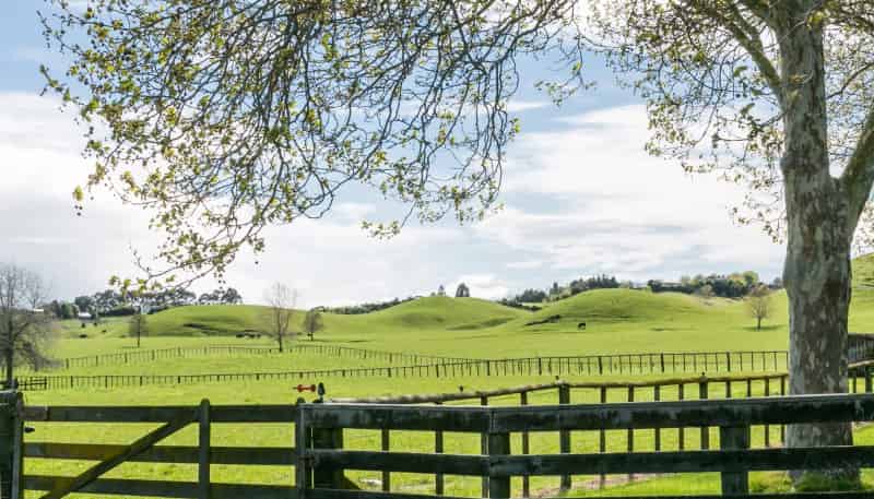 563 Tuki Tuki Road, Haumoana