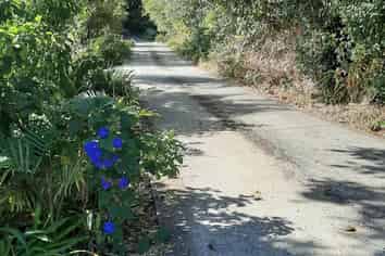 663 Whangarei Heads Road, Tamaterau