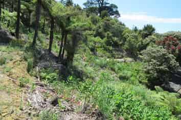 663 Whangarei Heads Road, Tamaterau