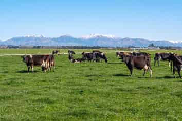  180 Old Main South Road and Looker Road, Geraldine