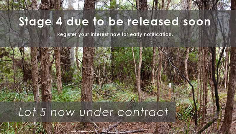 Lot 4,5,6/433 Main Road, Tairua