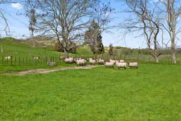 1956 State Highway 2, Whakatane