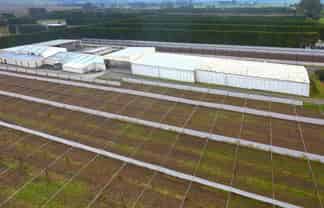 9% yield commercial investment 