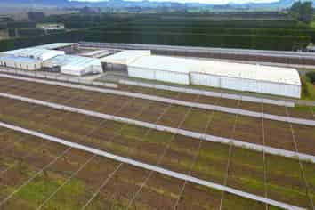 9% yield commercial investment 