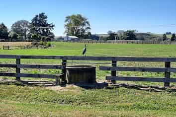 Large workshop/s plus parking