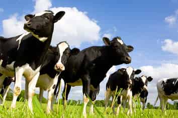 Significant Opportunity in Agri Sales