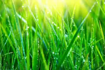 Significant Opportunity in Agri Sales