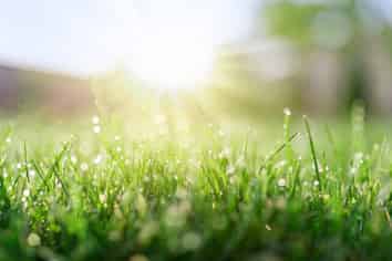 Significant Opportunity in Agri Sales