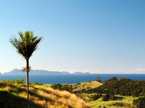 Auckland - Address withheld