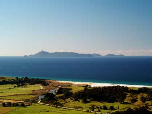 Auckland - Address withheld