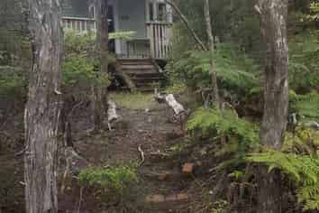 Auckland - Address withheld