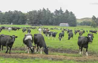 1315 Limehills Browns Road, 