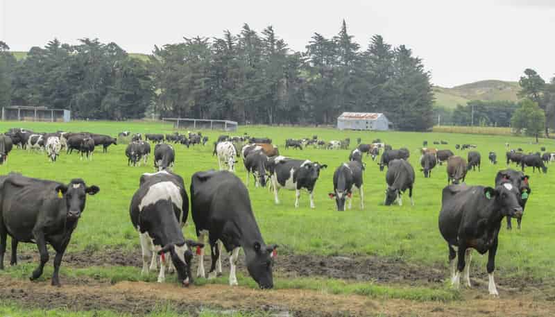 1315 Limehills Browns Road, 