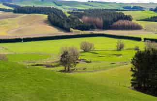 46 Taiko Hall Road, Timaru