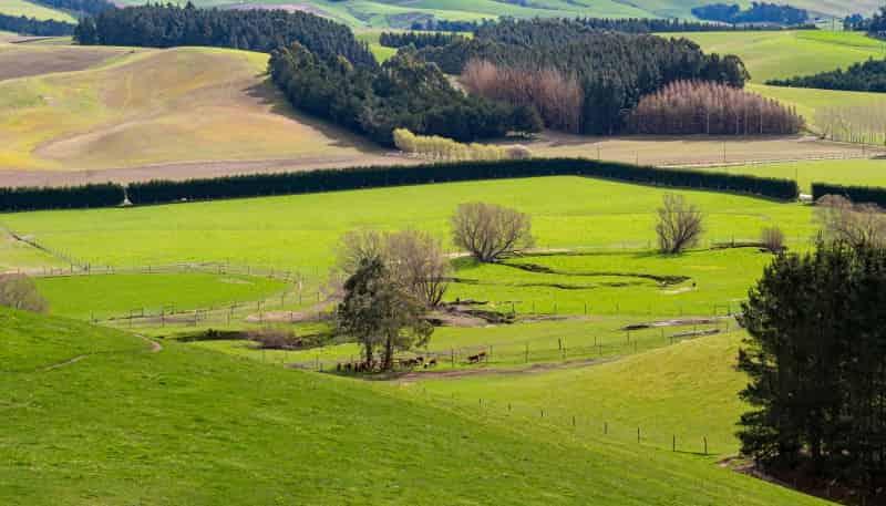 46 Taiko Hall Road, Timaru