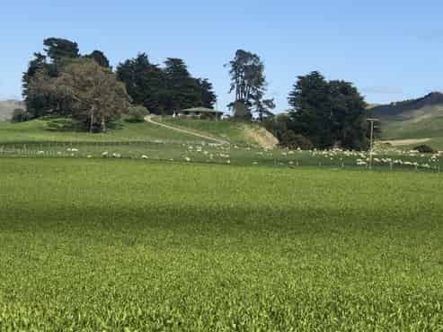 2538 Kahuranaki Road, Elsthorpe