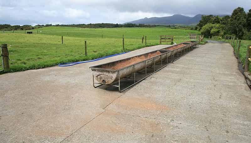 325 Kirihau Road, New Plymouth Central