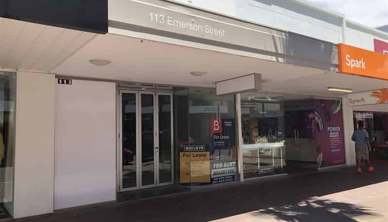 113 Emerson Street, Napier South