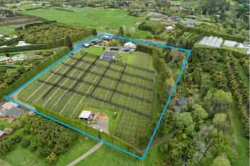 GREAT HOME + BUILDINGS + KIWIFRUIT