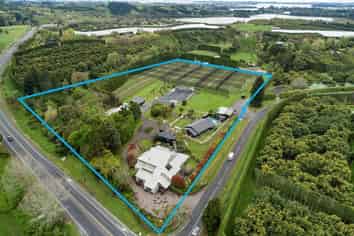 GREAT HOME + BUILDINGS + KIWIFRUIT