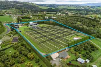 GREAT HOME + BUILDINGS + KIWIFRUIT