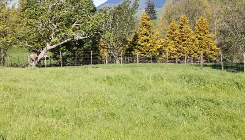  Galatos Road, Atiamuri