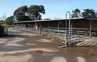 Rona and Mamaku Roads, Brixton