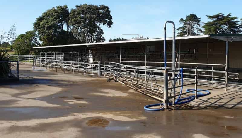 Rona and Mamaku Roads, Brixton