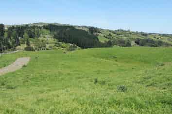 Auckland - Address withheld