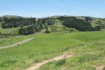 Auckland - Address withheld