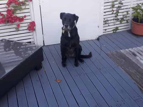 38 Simkin Avenue, Saint Johns