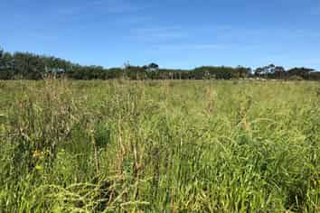 3 Fruiter Lane, Coatesville