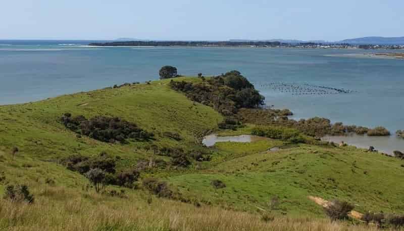 317 SH25, Whangapoua