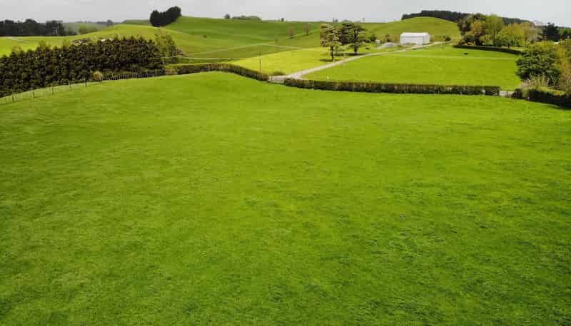 301 Dalziel Road Lot A, Eltham