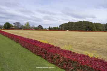  Wairere Road, Waharoa