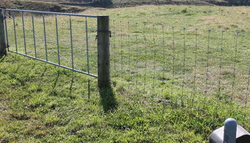 592 Mangorei Road, Mangorei