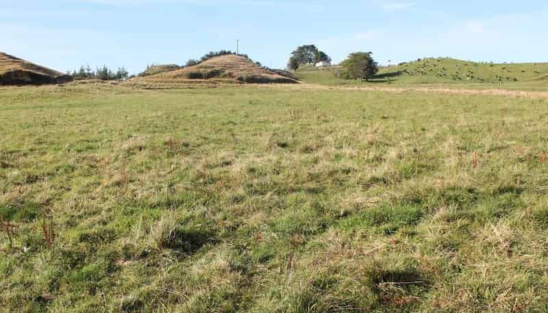 664 Tariki Road, Inglewood