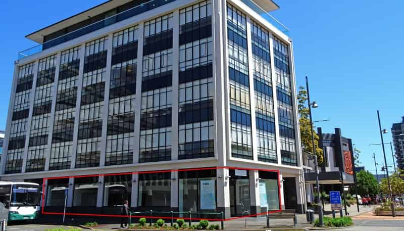 149 Alexandra Street, Hamilton Central