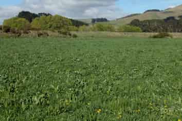 5326 Hampden Palmerston Road, Palmerston