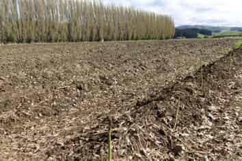 5326 Hampden Palmerston Road, Palmerston