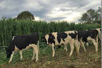 5326 Hampden Palmerston Road, Palmerston