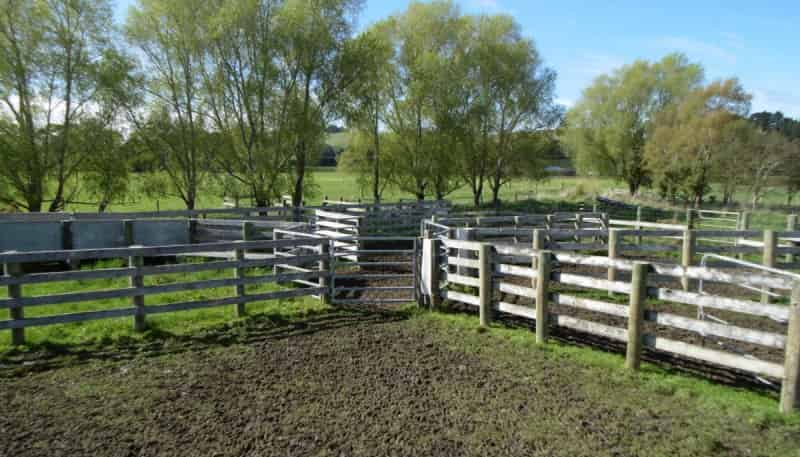 5326 Hampden Palmerston Road, Palmerston