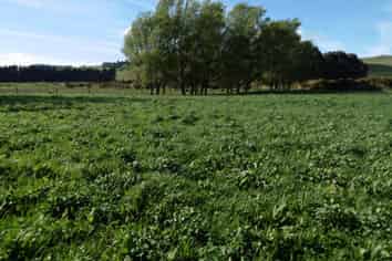 5326 Hampden Palmerston Road, Palmerston