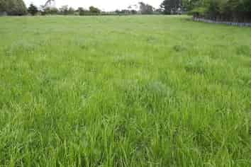 . Lepper Road, Inglewood