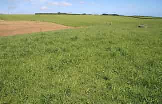 967 Eltham Road, Kaponga