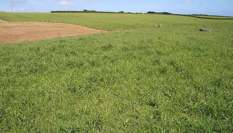 967 Eltham Road, Kaponga