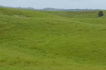  Central Road, Otamatea Surrounds