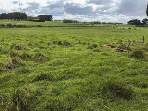 3 Lake Road, Roslyn Bush